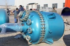 5G天天运动天天5G反應釜廠家